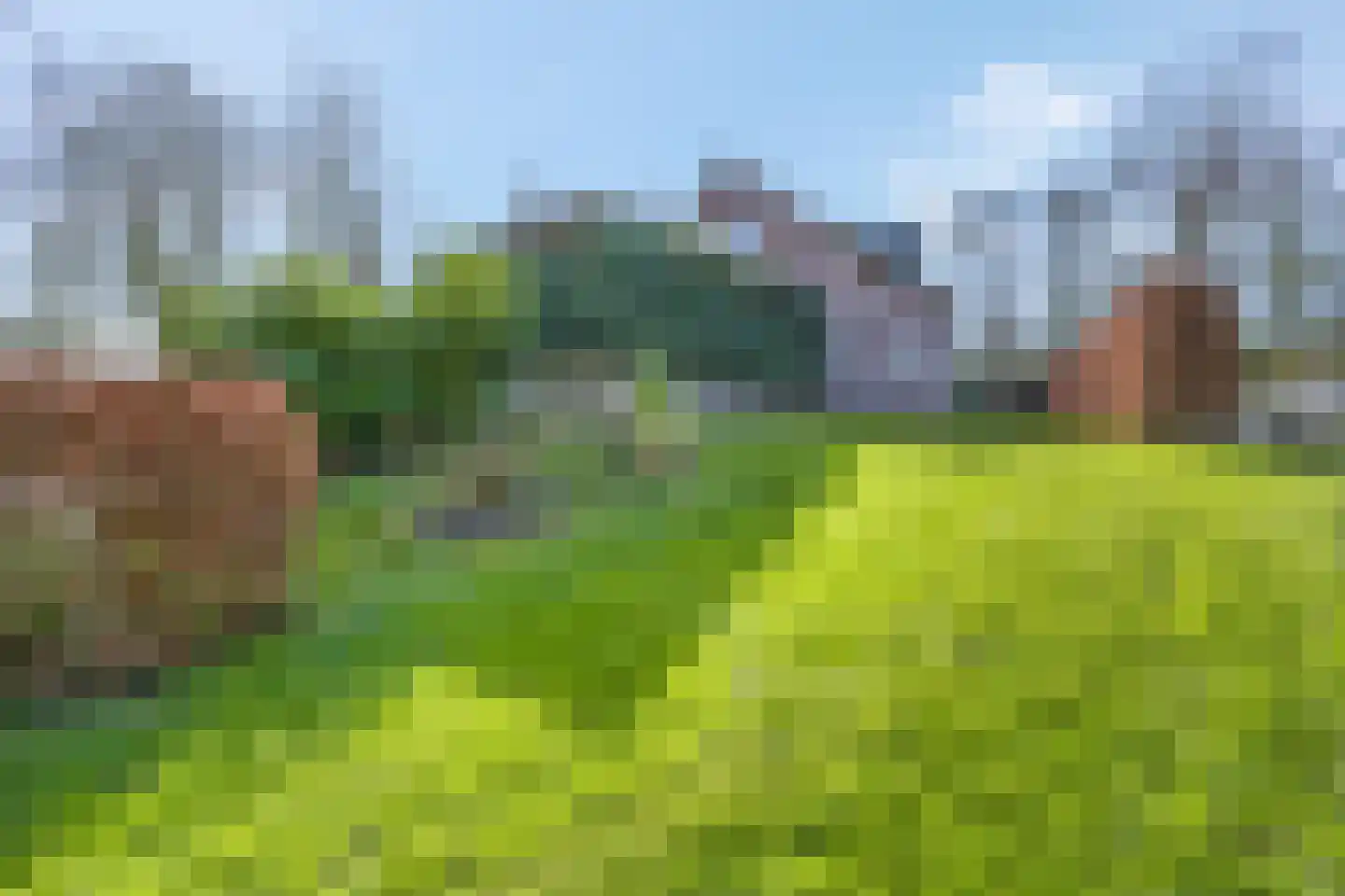 Rivierenlandlaan 2 Tiel thumbnail 56