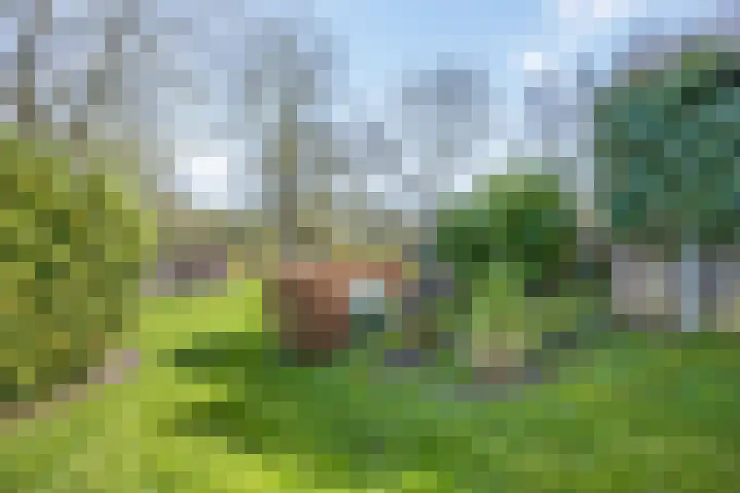 Rivierenlandlaan 2 Tiel thumbnail 57