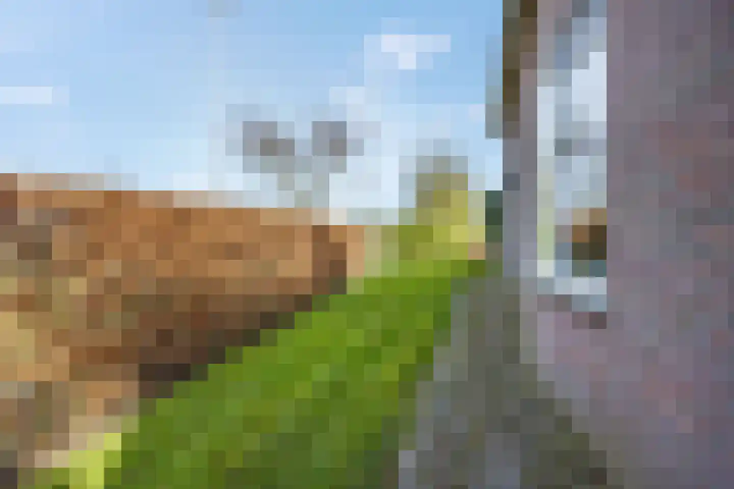 Rivierenlandlaan 2 Tiel thumbnail 58