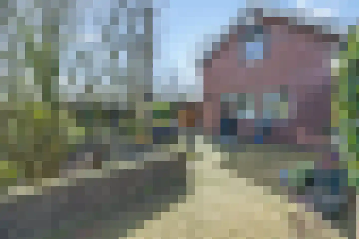 Rivierenlandlaan 2 Tiel thumbnail 63