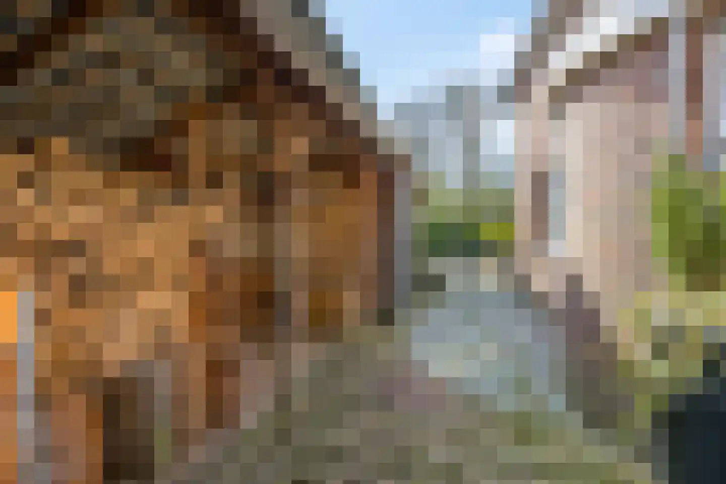 Rivierenlandlaan 2 Tiel thumbnail 65