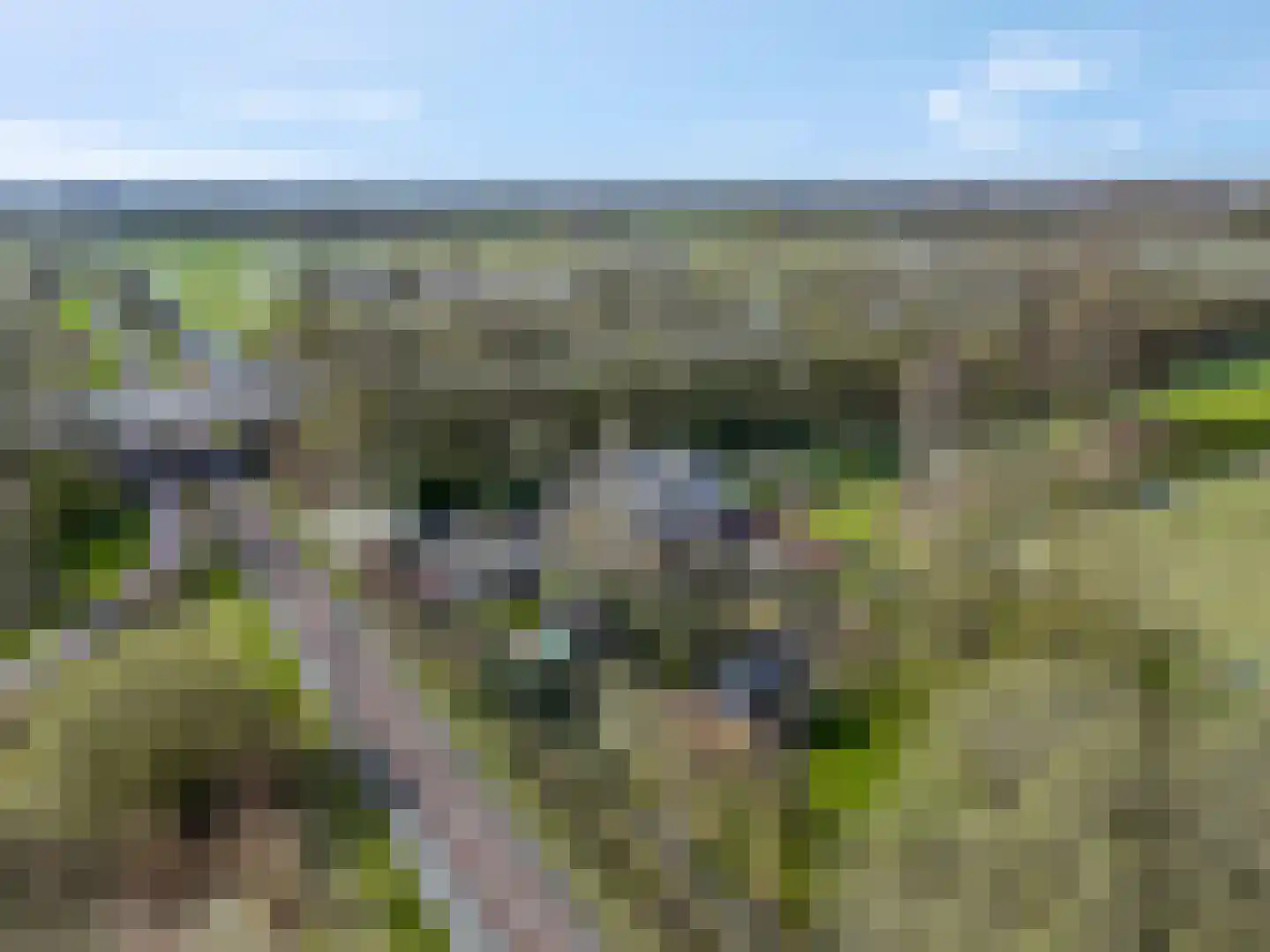 Rivierenlandlaan 2 Tiel thumbnail 76