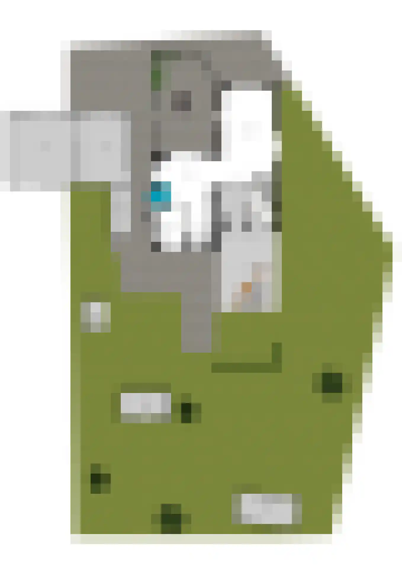 Rivierenlandlaan 2 Tiel thumbnail 84
