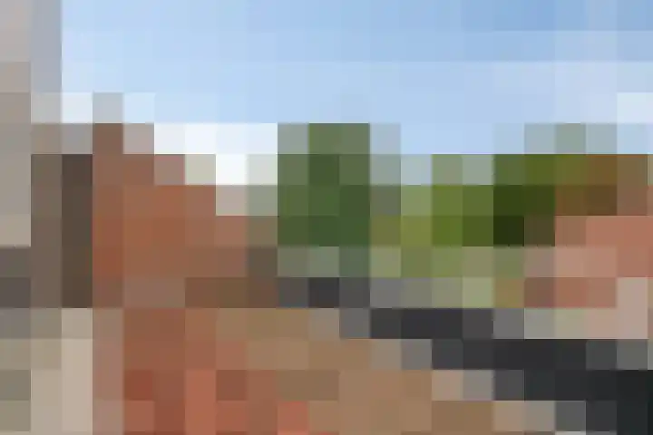 Rivierenpark 38 Terneuzen thumbnail 21