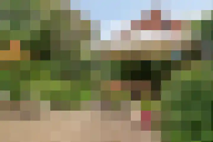 Rivierenpark 38 Terneuzen thumbnail 23