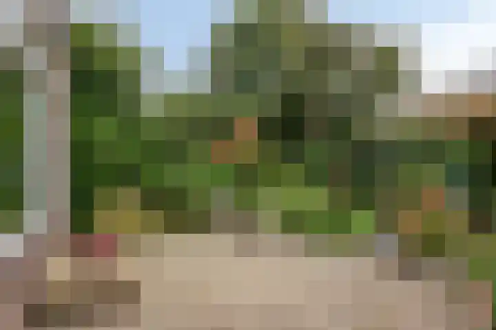 Rivierenpark 38 Terneuzen thumbnail 24