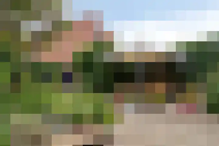 Rivierenpark 38 Terneuzen thumbnail 25