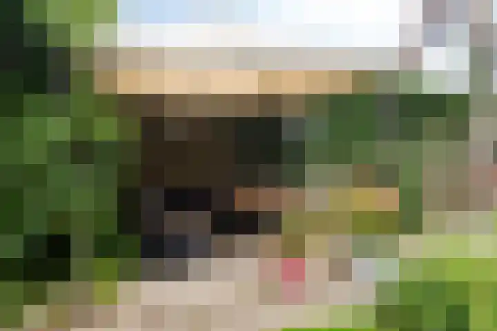 Rivierenpark 38 Terneuzen thumbnail 26