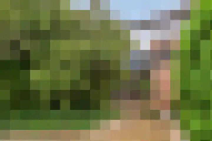 Rivierenpark 38 Terneuzen thumbnail 28