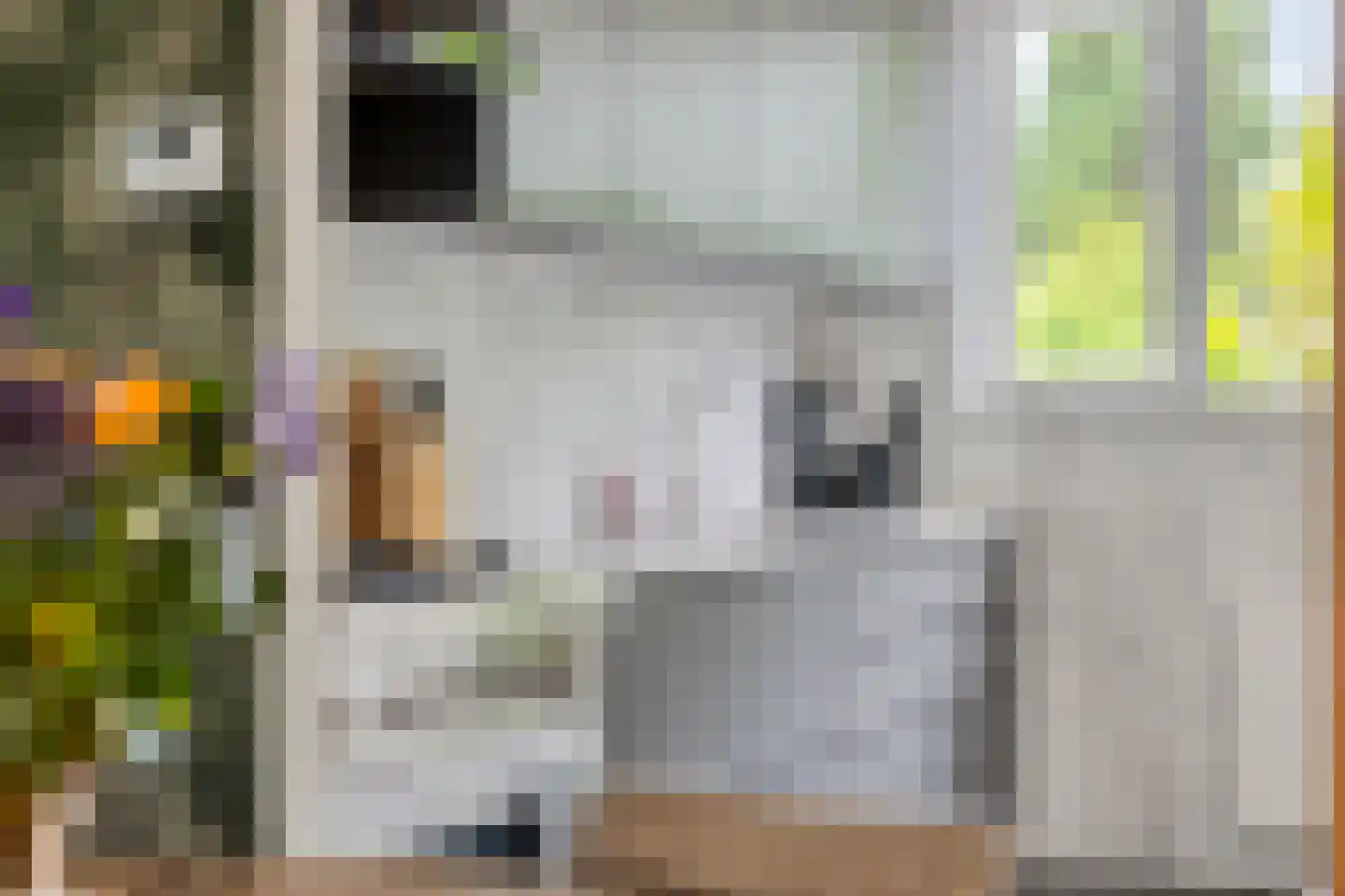 Rivierenpark 76 Terneuzen thumbnail 8