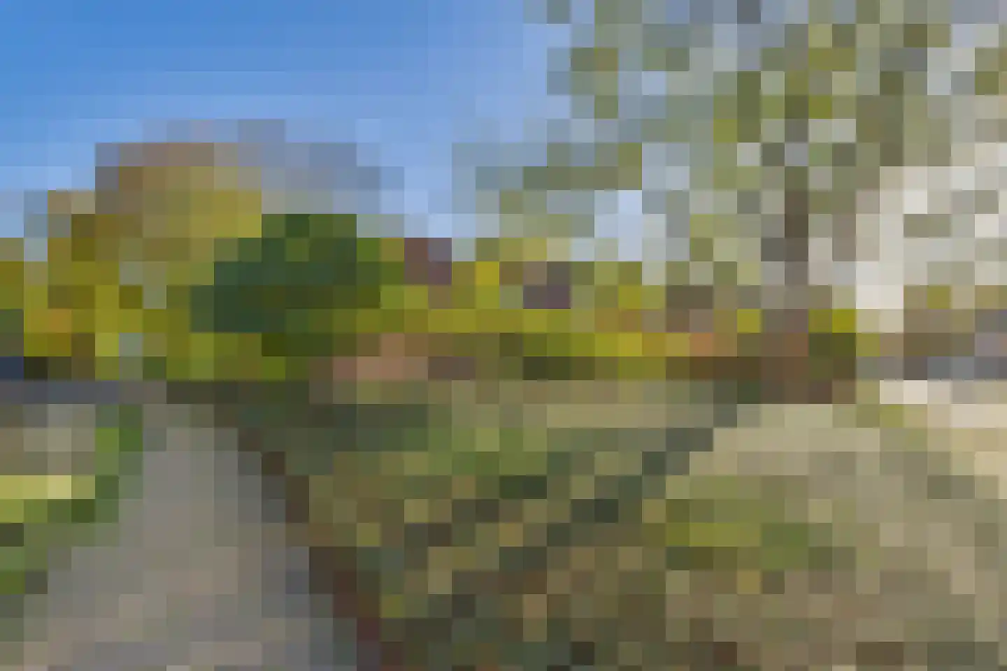 Rivierenpark 83 Terneuzen thumbnail 4