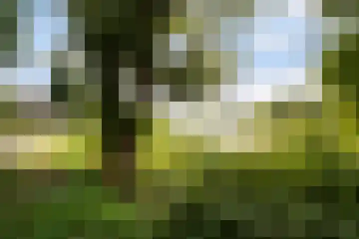 Rivierenplein 31 Dordrecht thumbnail 43
