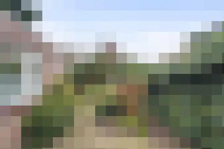 Rivierensingel 185 Helmond thumbnail 30