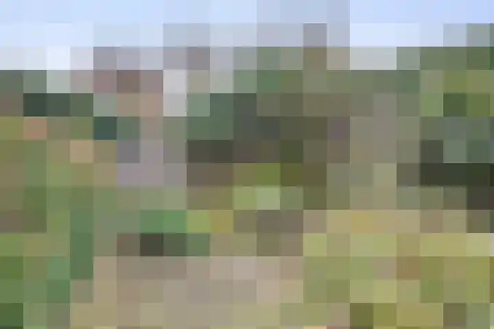 Rivierensingel 185 Helmond thumbnail 31