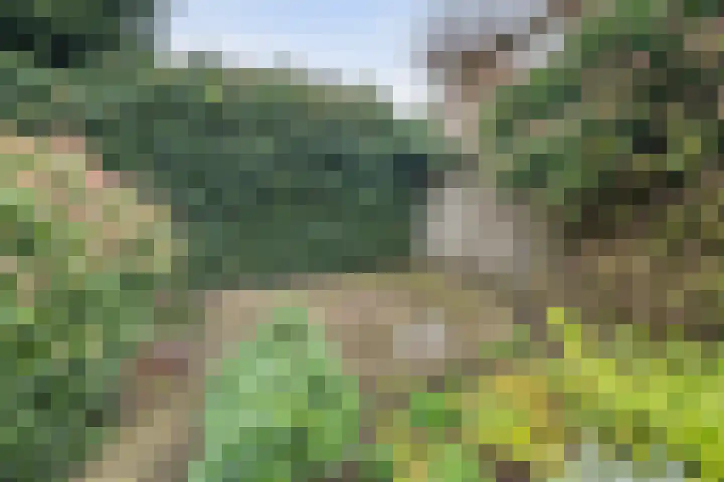 Rivierensingel 185 Helmond thumbnail 32