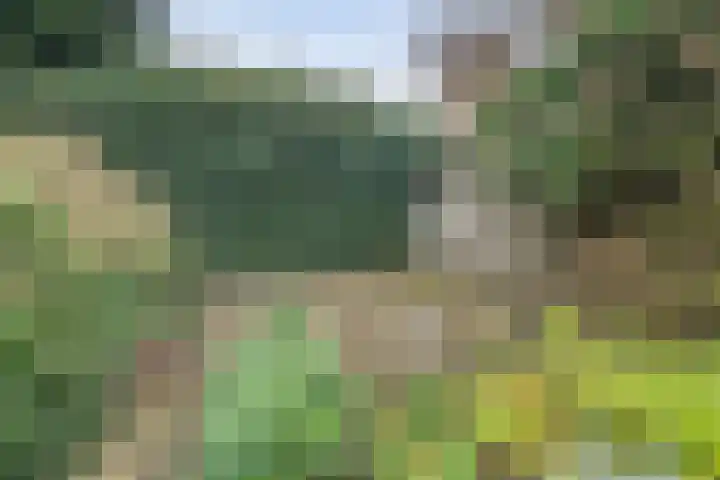 Rivierensingel 185 Helmond thumbnail 32