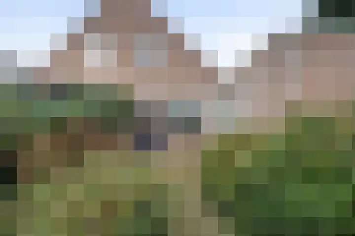 Rivierensingel 185 Helmond thumbnail 33