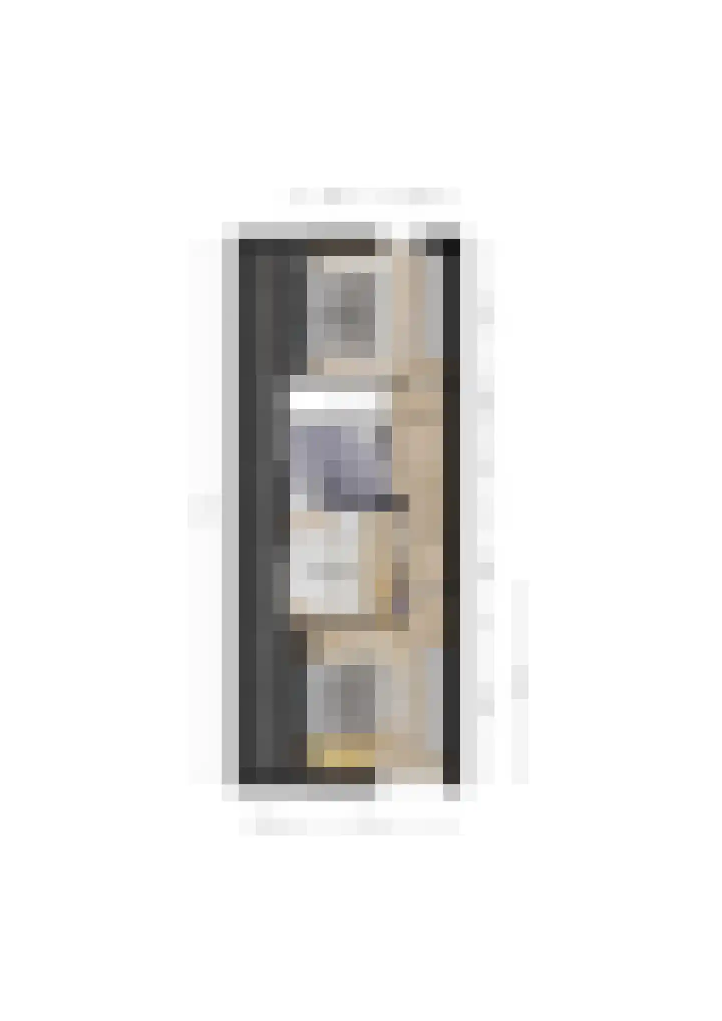 Rivierensingel 185 Helmond thumbnail 38