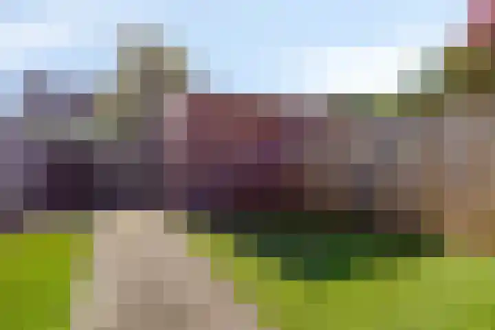 Rivierensingel 219 Helmond thumbnail 19