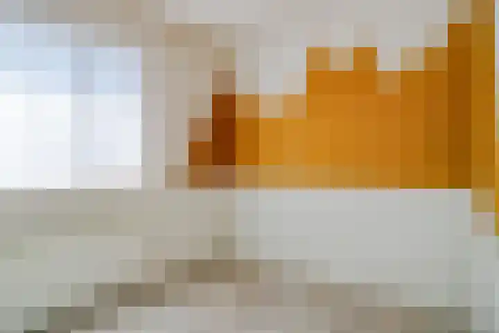 Rivierensingel 219 Helmond thumbnail 30