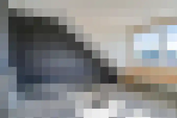 Rivierensingel 219 Helmond thumbnail 34