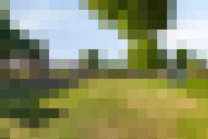 Rivierensingel 219 Helmond thumbnail 35