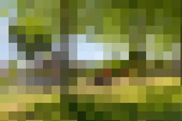 Rivierensingel 219 Helmond thumbnail 36