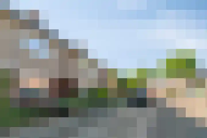 Rivierensingel 219 Helmond thumbnail 37
