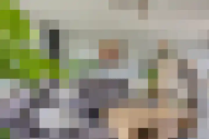 Rivierensingel 27 Helmond thumbnail 10