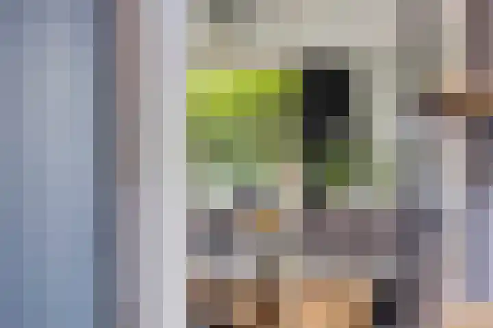 Rivierensingel 27 Helmond thumbnail 14