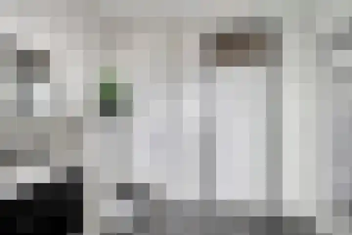 Rivierensingel 27 Helmond thumbnail 23