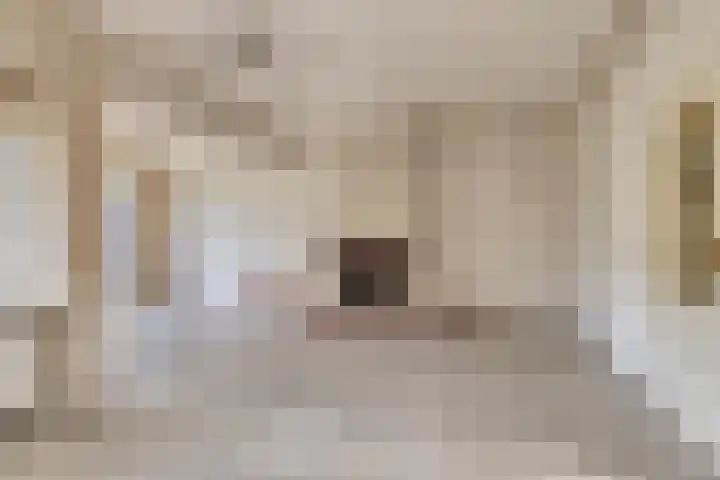 Rivierensingel 27 Helmond thumbnail 33