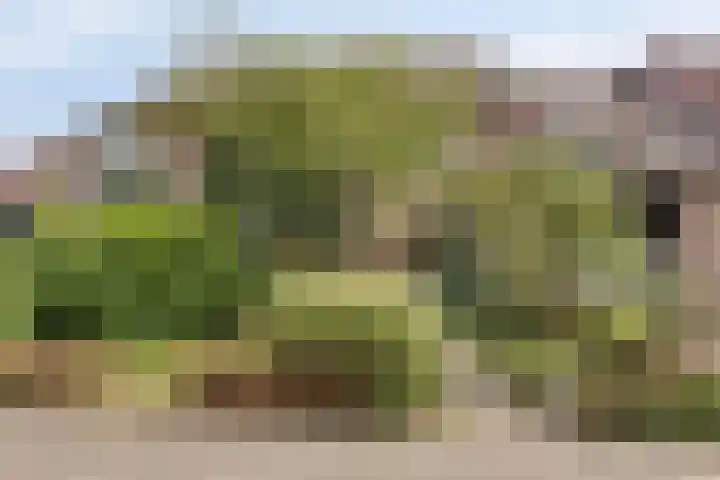 Rivierensingel 27 Helmond thumbnail 39