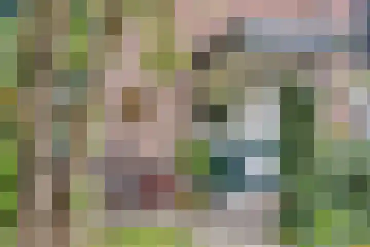Rivierensingel 27 Helmond thumbnail 6