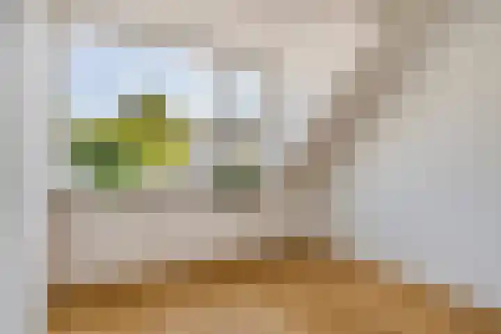 Rivierensingel 305 Helmond thumbnail 30