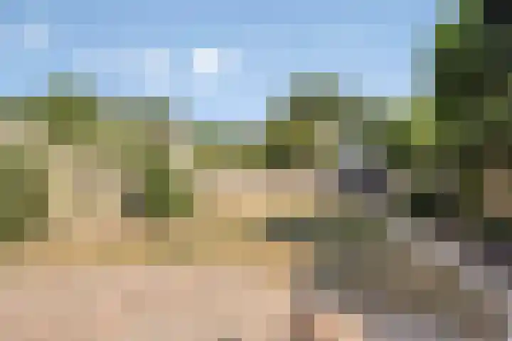 Rivierensingel 305 Helmond thumbnail 36