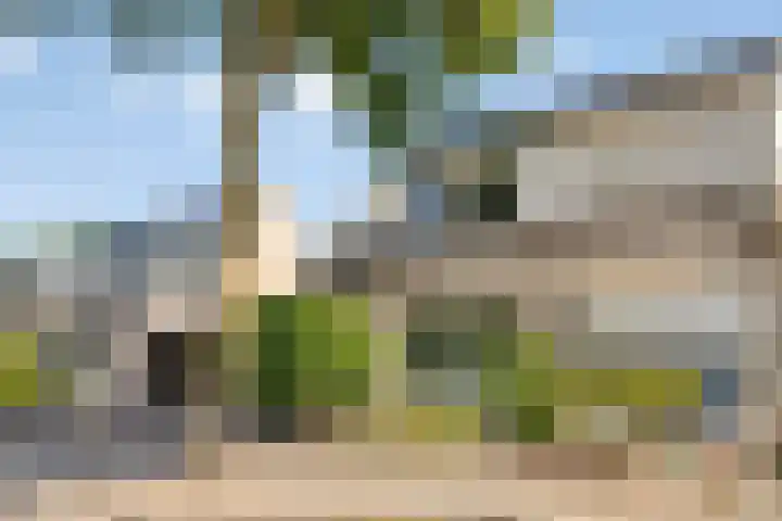 Rivierensingel 305 Helmond thumbnail 40