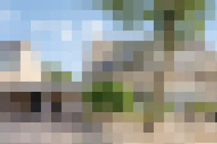Rivierensingel 305 Helmond thumbnail 6