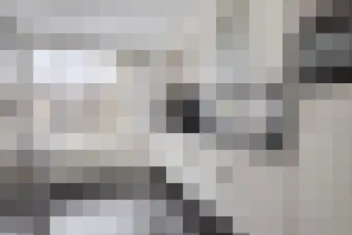 Rivierensingel 330 Helmond thumbnail 17