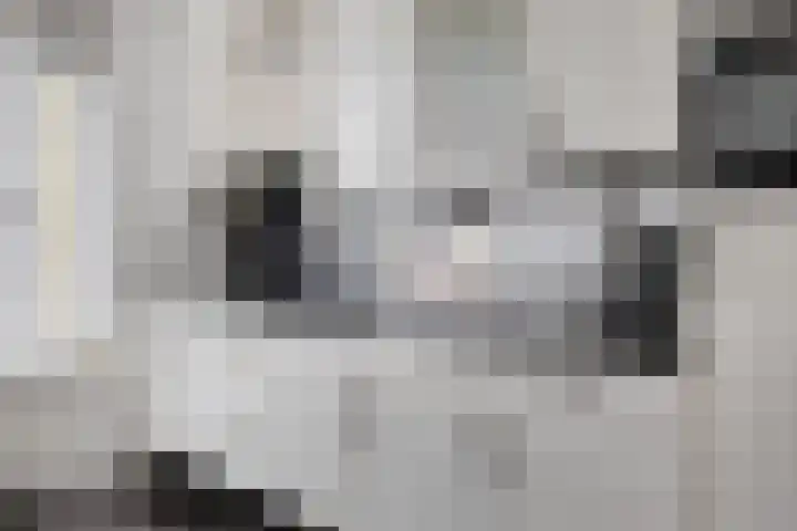 Rivierensingel 330 Helmond thumbnail 18