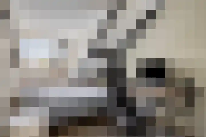 Rivierensingel 330 Helmond thumbnail 25