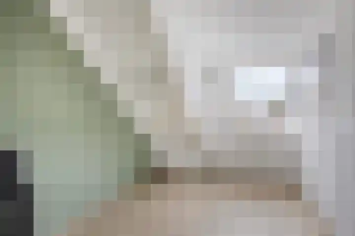 Rivierensingel 330 Helmond thumbnail 26