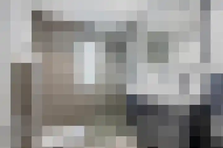 Rivierensingel 330 Helmond thumbnail 27