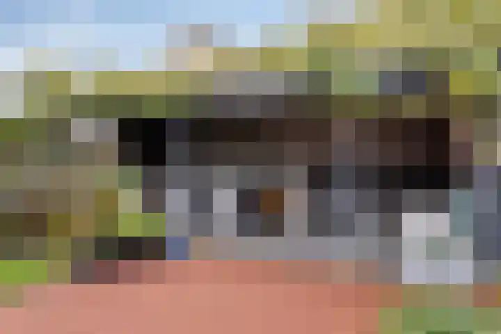 Rivierensingel 330 Helmond thumbnail 33