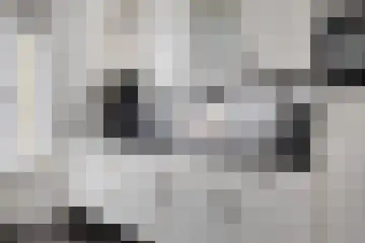 Rivierensingel 330 Helmond thumbnail 4