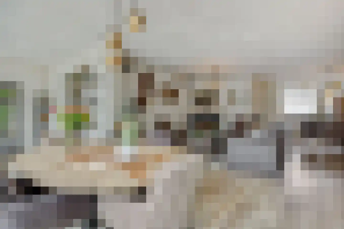 Rivierensingel 432 Helmond thumbnail 13