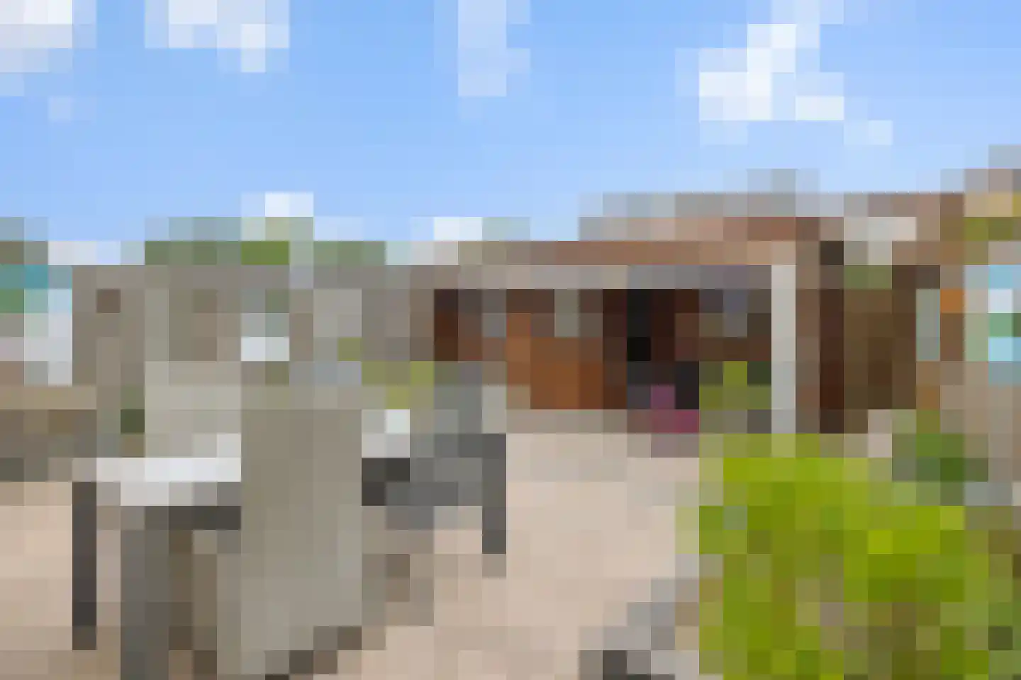 Rivierensingel 432 Helmond thumbnail 34