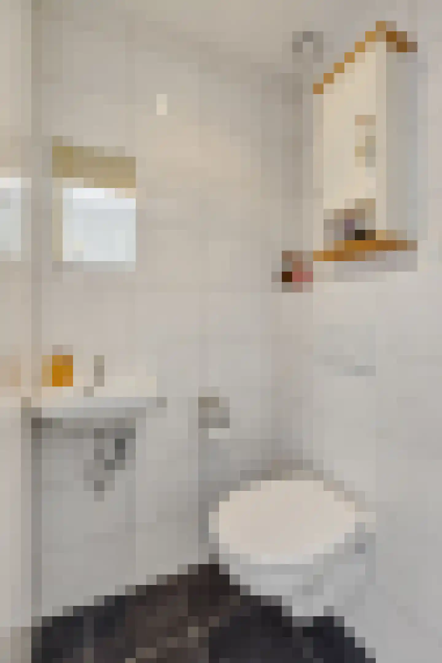 Rivierensingel 432 Helmond thumbnail 6