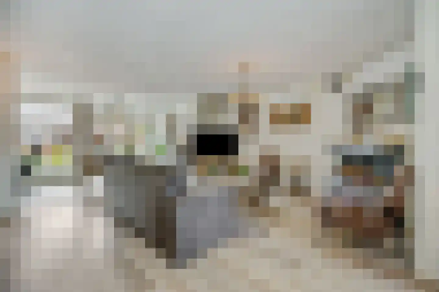 Rivierensingel 432 Helmond thumbnail 8