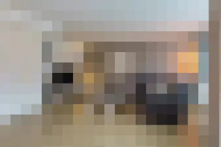 Rivierensingel 455 Helmond thumbnail 13